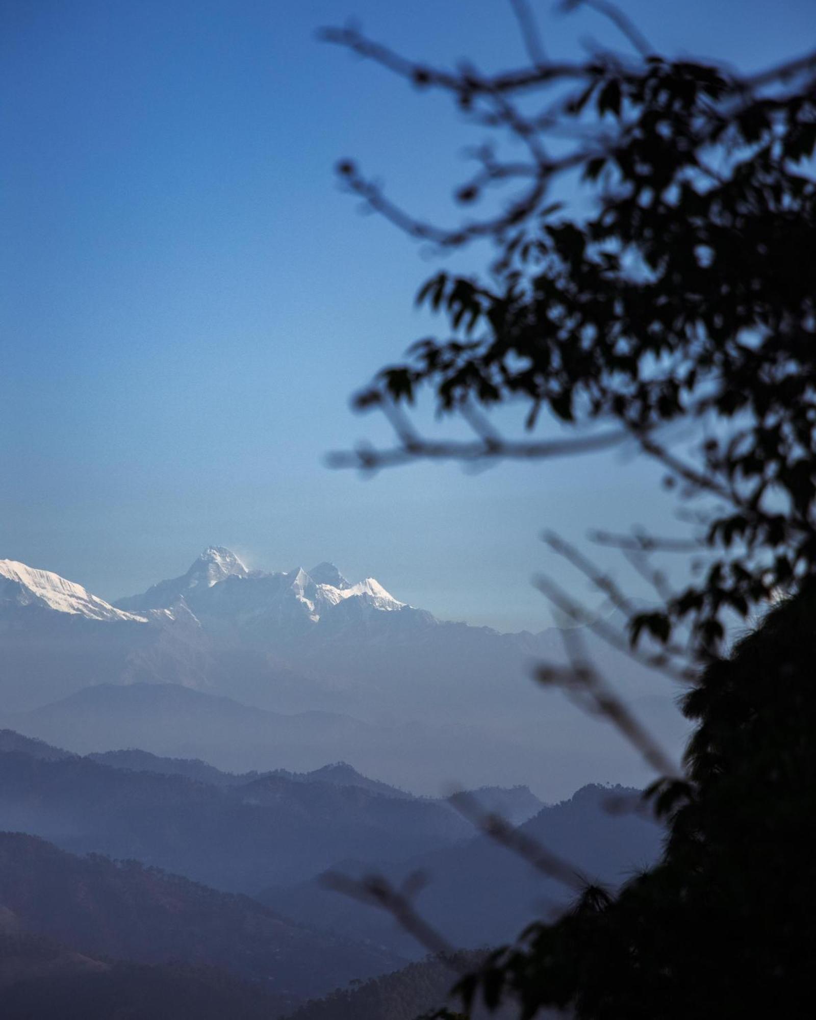 Kasar Himalaya Holiday Resort, Binsar Rd Almora Dış mekan fotoğraf